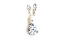 Lapin et carotte