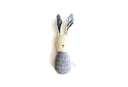 Lapin et carotte