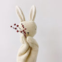 DUO - marionnette lapin blanc + livre Au-delà de la forêt